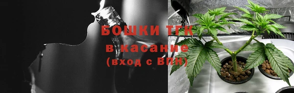 ГАЛЛЮЦИНОГЕННЫЕ ГРИБЫ Баксан