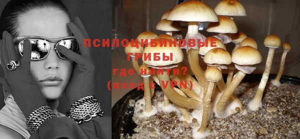 ГАЛЛЮЦИНОГЕННЫЕ ГРИБЫ Баксан